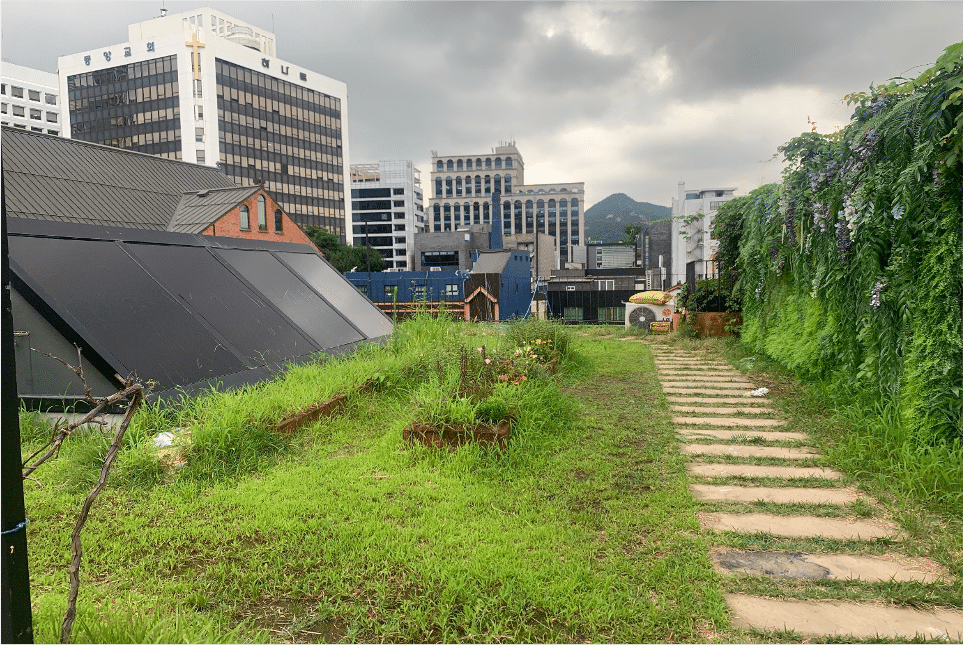 Rooftop 옥상정원 : 인사동 복합문화예술공간